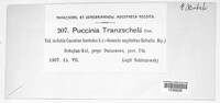 Puccinia tranzschelii image